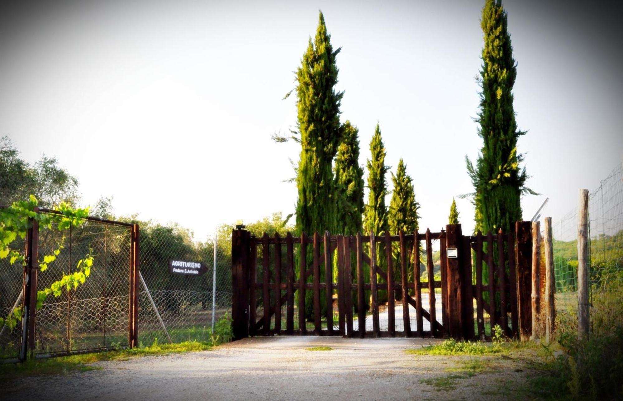 Podere Sant' Antonio Alberese