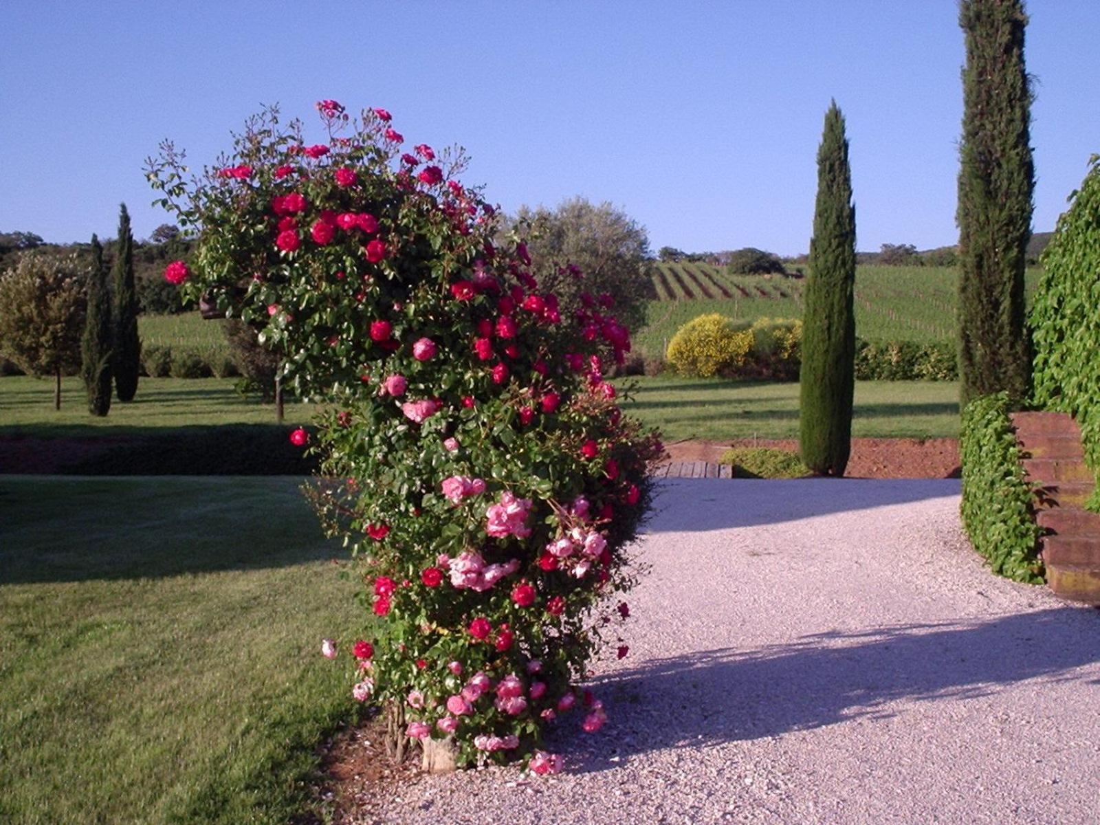 Casa de Campo Podere Sant' Antonio