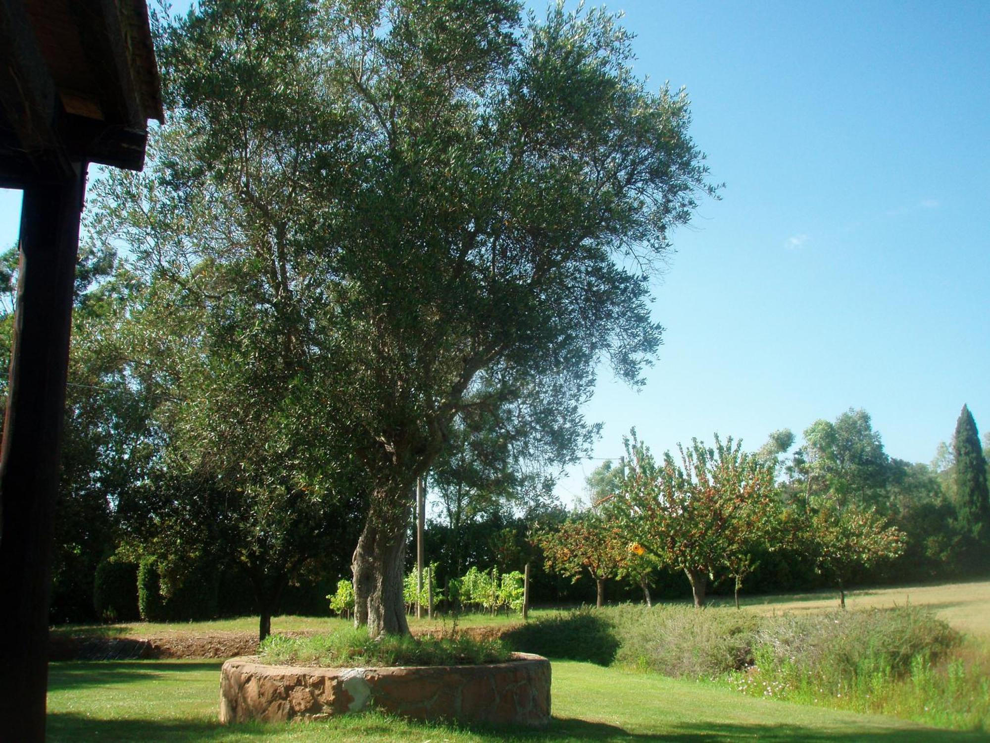 Casa de Campo Podere Sant' Antonio