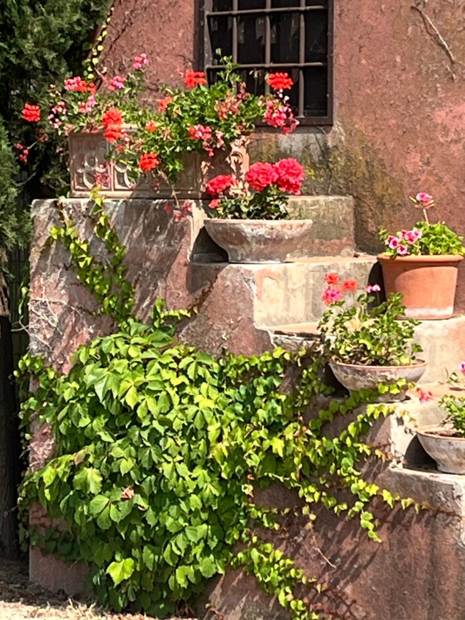Séjour à la campagne Podere Sant' Antonio