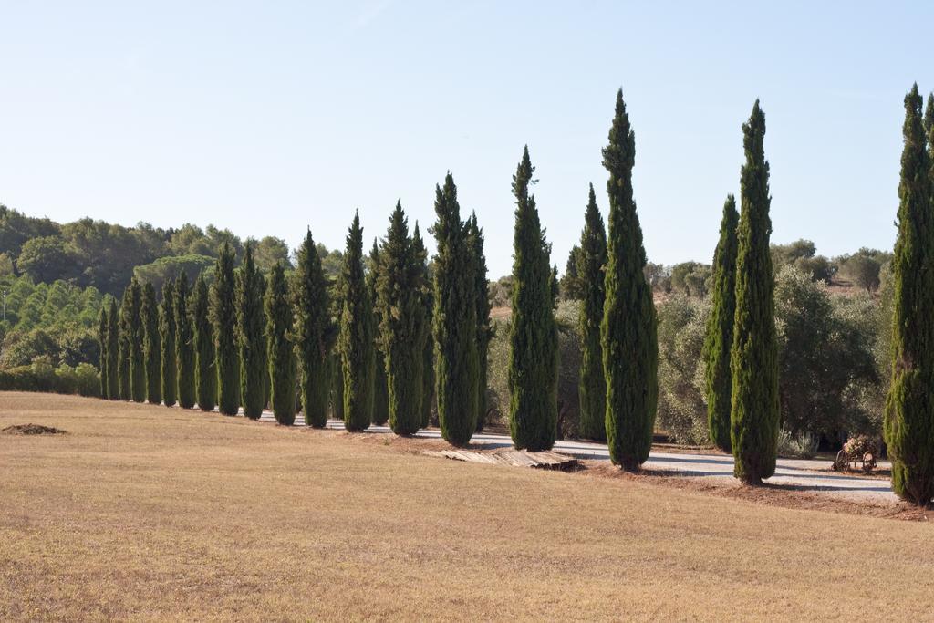 Casa de Campo Podere Sant' Antonio *