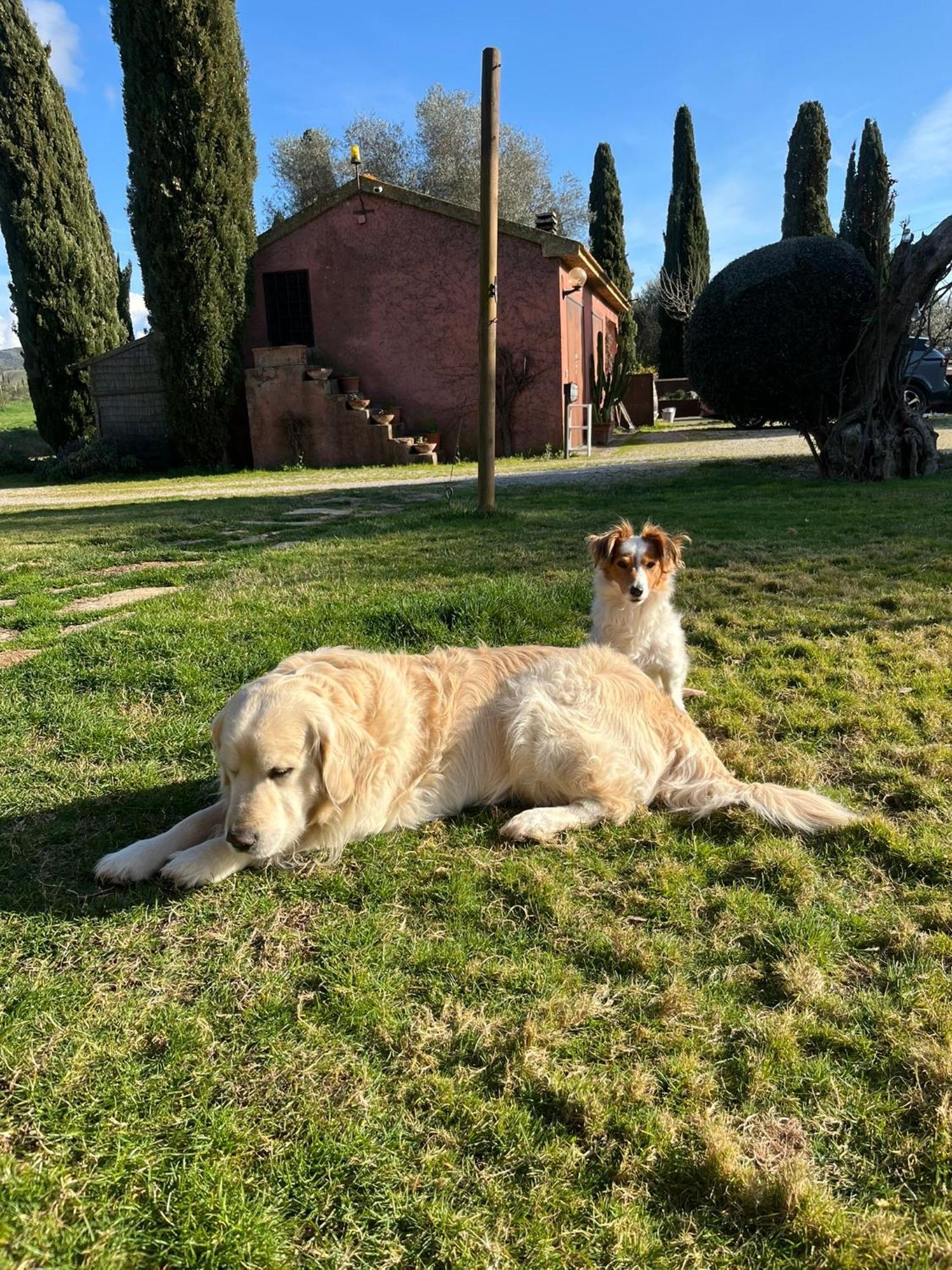 Country house Podere Sant' Antonio