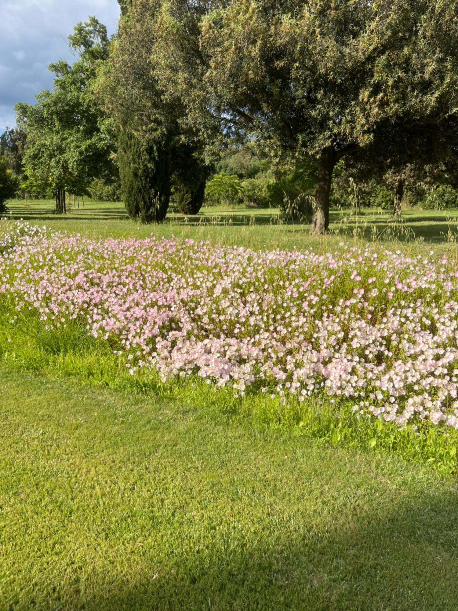 Podere Sant' Antonio Country house Alberese